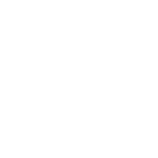 Pan-Africa Tech Business PLC Logo